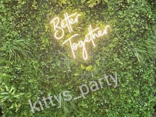 Green backdrop with neon light for hire