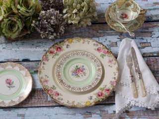 Vintage Dinner Plate Hire