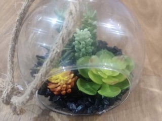 Centerpieces for sale-Succulent in glass ball