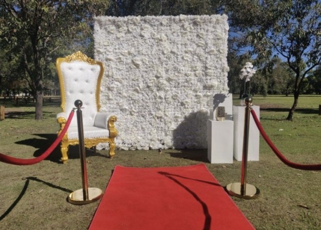 gold-bollards-and-red-carpet-for-hire-big-1