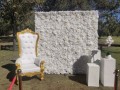 throne-chairs-for-hire-small-3