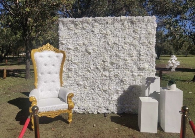 throne-chairs-for-hire-big-3