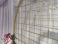 circular-mesh-backdrop-for-hire-small-0