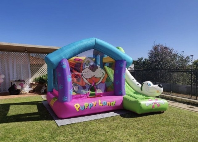 puppyland-bouncy-castle-for-hire-big-3