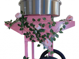 Fairy floss machine hire