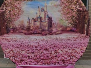 Beautiful Princess backdrop hire