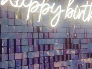 Shimmer sequin wall for hire