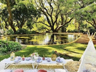 Picnic table hire