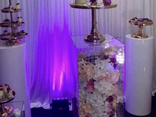 Floral plinths for hire