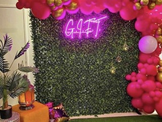 Green wall for hire 2