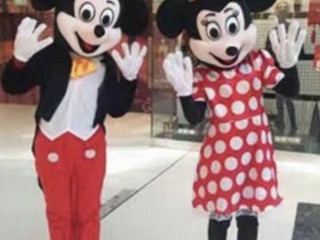 Mickey Mouse and Minnie Mouse costumes