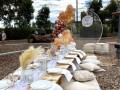 picnic-setup-for-hire-small-1