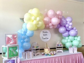 Unicorn theme packages for hire