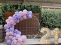 mesh-with-balloon-garland-small-0