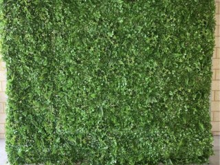 Greenery wall backdrop for hire