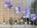 balloons-florals-stand-for-hire-small-0