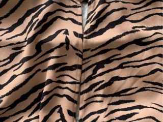 Finders Keepers Tiger Stripe Mini Dress