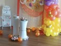 balloon-garlands-small-4