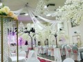 wedding-decorations-for-hire-small-0