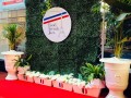 green-wall-hire-for-events-small-2