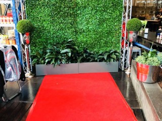 Red carpet for hire