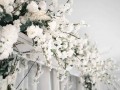 blossom-arch-hire-wedding-ceremony-arch-small-0