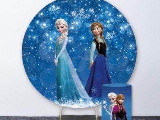 Frozen Theme Backdrops FOR HIRE