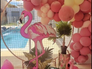 Flamingo pool party HIRE