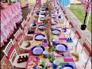 Disney Princess Party HIRE