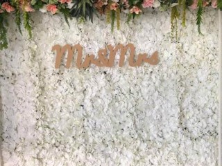 White flower wall backdrop. Birthday, baby shower. Bridal shower .