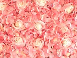 Pink & Peach rose, hydrangea flower wall backdrop . Event , birthday party .