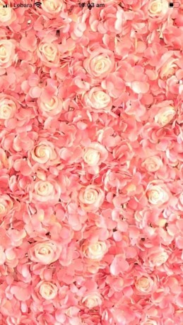 pink-peach-rose-hydrangea-flower-wall-backdrop-event-birthday-party-big-0