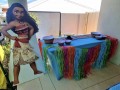 moana-party-hire-small-2