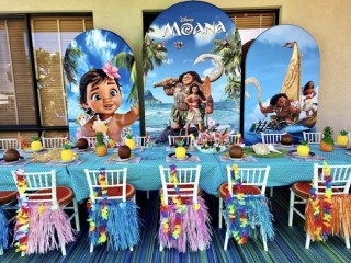 Moana Party Hire