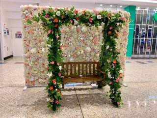 Floral swing for hire only $250