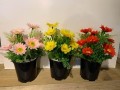 artificial-plants-various-style-new-condition-12-small-2