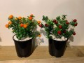 artificial-plants-various-style-new-condition-12-small-1