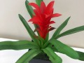 artificial-plant-bromeliad-in-black-pot-artistic-greenery-malaga-small-1