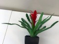 artificial-plant-bromeliad-in-black-pot-artistic-greenery-malaga-small-2