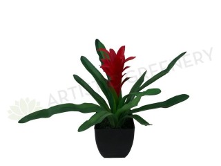 Artificial plant - bromeliad in black pot (Artistic Greenery Malaga)