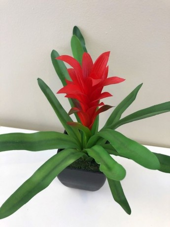 artificial-plant-bromeliad-in-black-pot-artistic-greenery-malaga-big-1