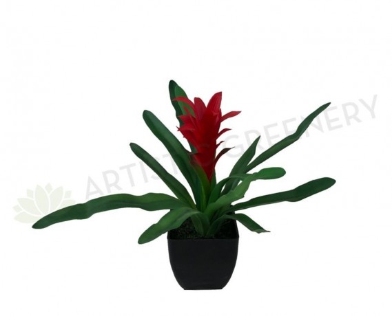 artificial-plant-bromeliad-in-black-pot-artistic-greenery-malaga-big-0