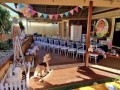 farm-animal-party-hire-small-0