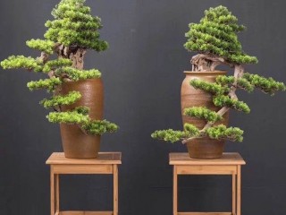 High quality artificial bonsai (Artistic Greenery)