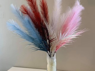 Decorative coloured pamper grass bunch