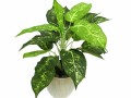 artificial-plants-45cm-tall-3-styles-small-1