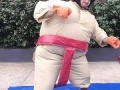 adult-sumo-suits-small-0