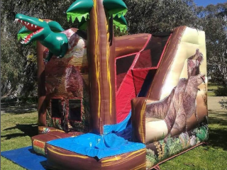 Dino castle / waterslide