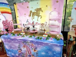 Unicorn party HIRE