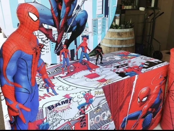 spiderman-party-hire-big-4